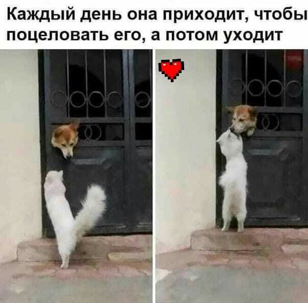 Каждый день она приходит чтобы поцеловать его а потом уходит Ч