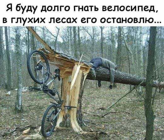 Я буду долго гнать велосипед влю