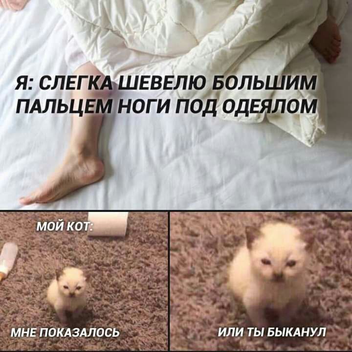 Я СЛЕГ ПАЛЬЦ