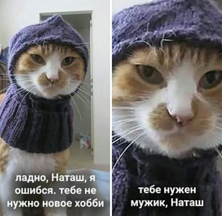 __ ладно Наташ ошибся тебе не но новое хобби тебе нужен мужик Наташ