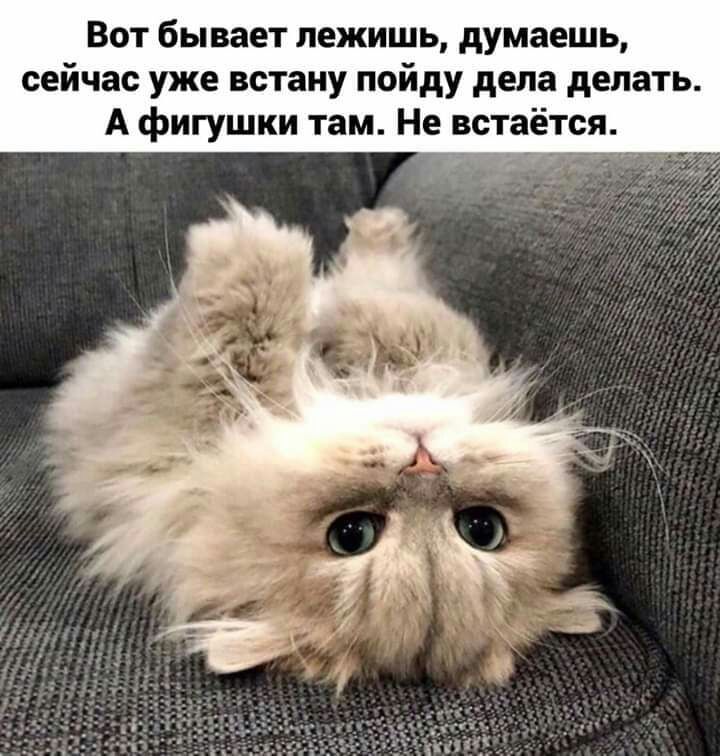 Вот бывает лежишь думаешь сейчас уже встану пойду дела делать