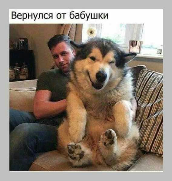 Вернулся от бабушки