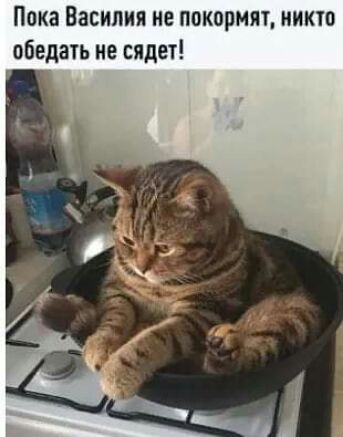 Пока Василия не покормят ники обедать не сядет
