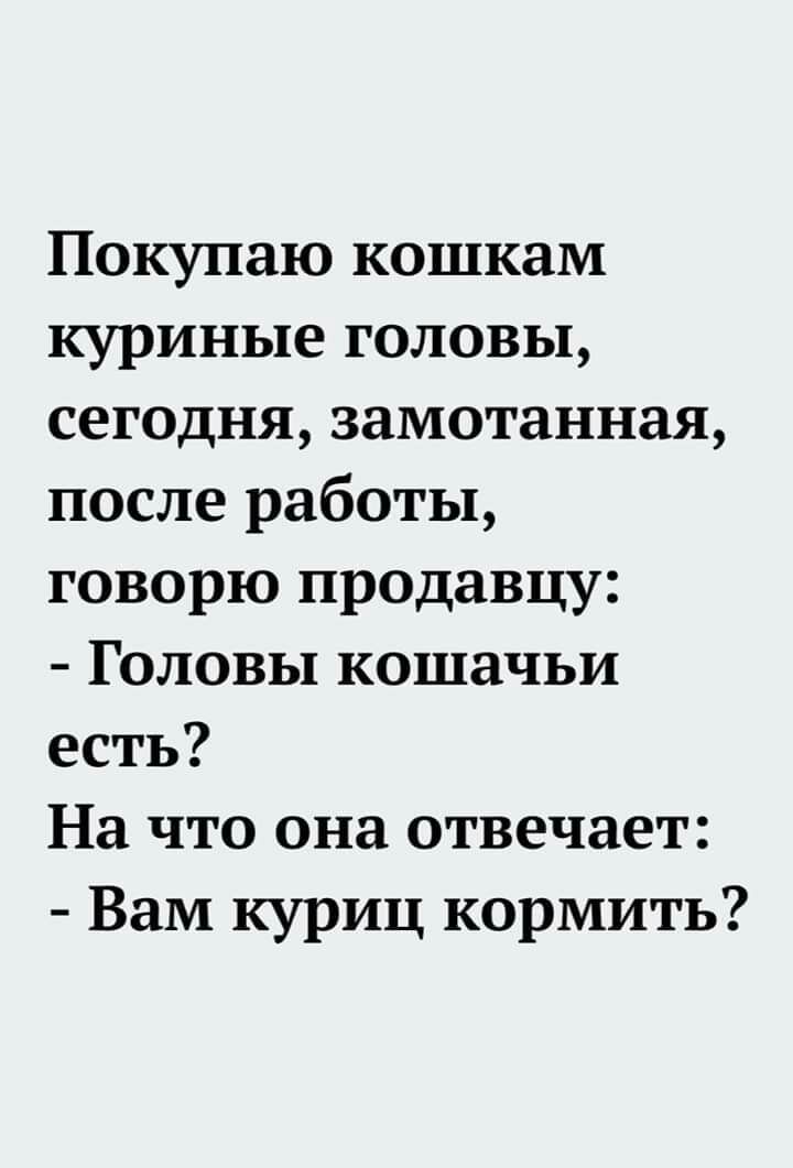 Покупаю кошкам куриные головы сегодня замотанная после работы говорю продавцу Головы кошачьи есть На что она отвечает Вам куриц кормить