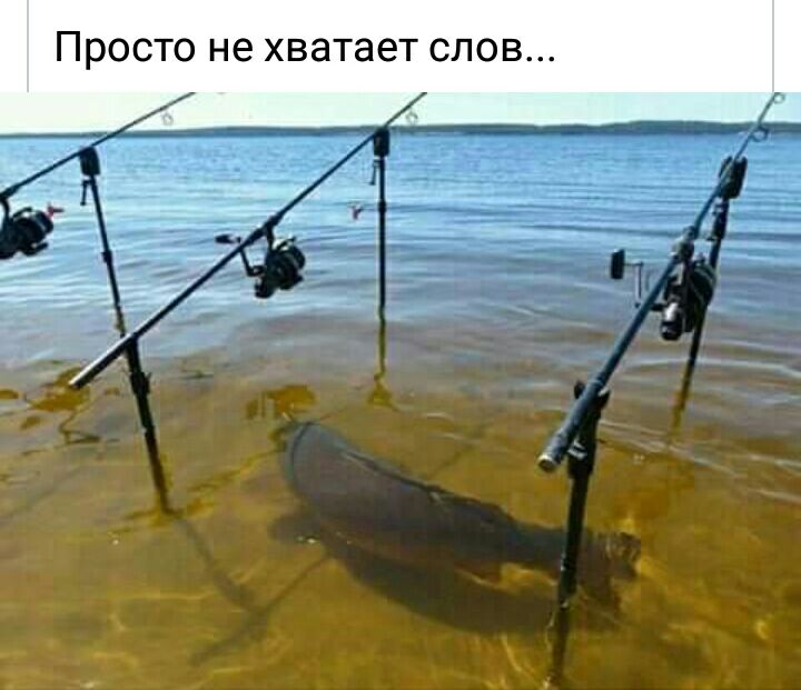 Просто не хватает слов