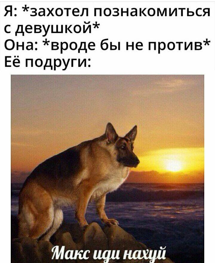 Я захотел познакомиться с девушкой Она вроде бы не против Её подруги