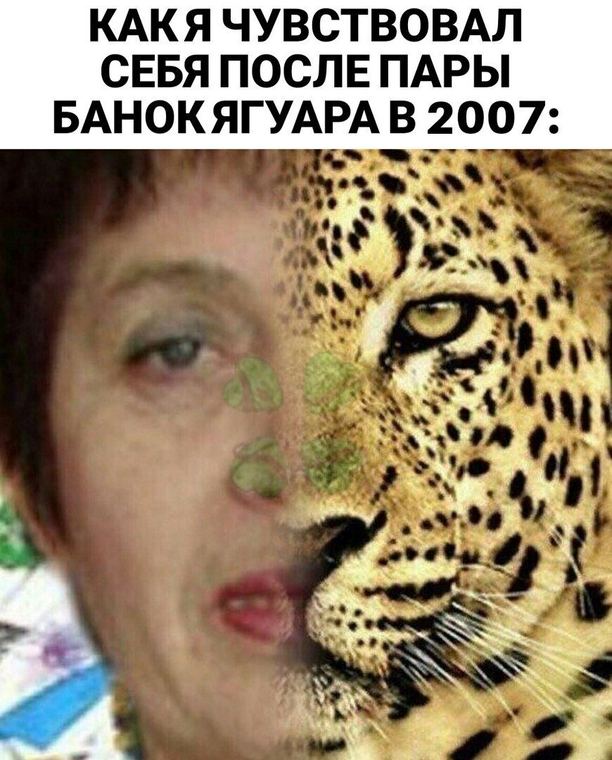 КАКЯ ЧУВСТВОВАП СЕБЯ ПОСЛЕ ПАРЫ БАНОКЯГУАРА В 2007