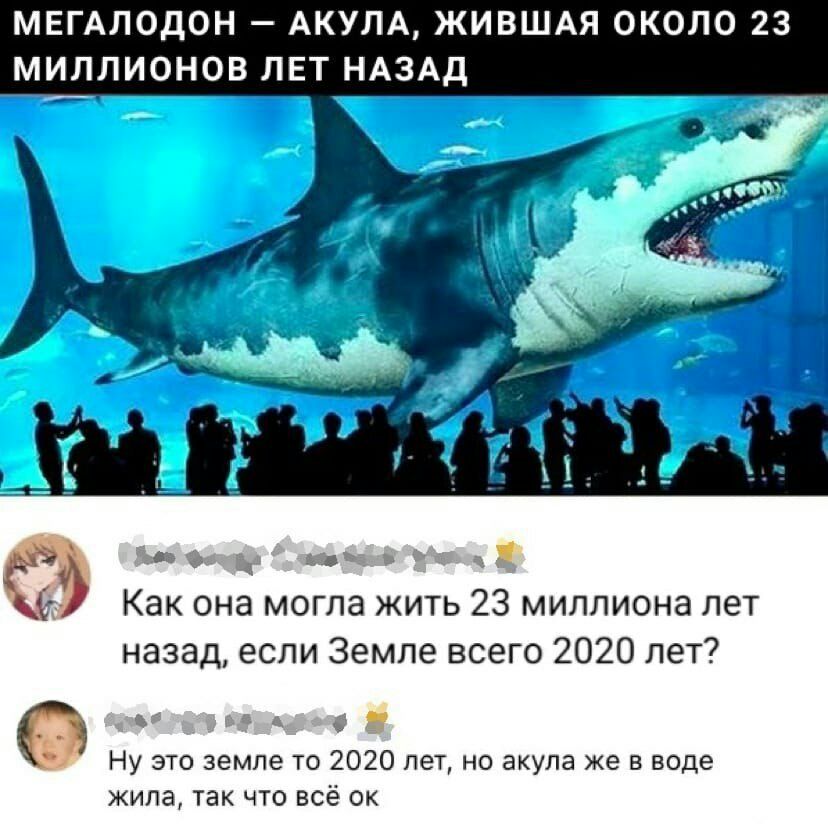 МЕГАЛОДОН АКУЛА ЖИВШАЯ ОКОЛО 23 МИЛЛИОНОВ ЛЕТ НАЗАД О д и з т Как она могла жить 23 миллиона лет назад если Земле всего 2020 лет Ну это земле то 2020 лет но акула же в воде жила так что всё ок