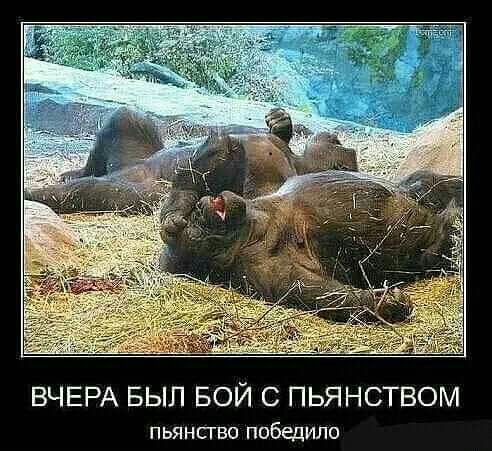 ВЧЕРА БЫЛ БОЙ С ПЬЯНСТВОМ ПЬЯНСГВО победило