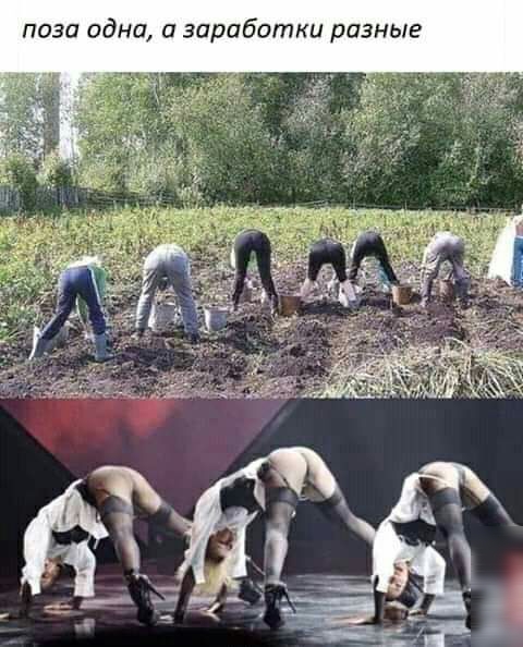 поза одна а заработки разные
