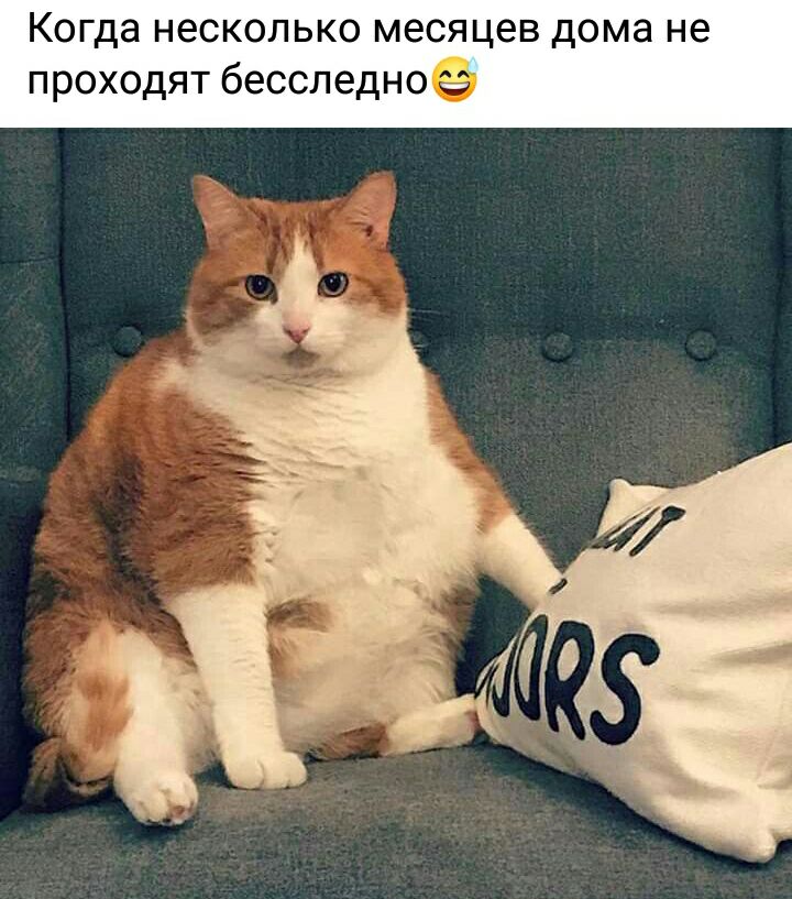 Когда несколько месяцев дома не проходят бесследное