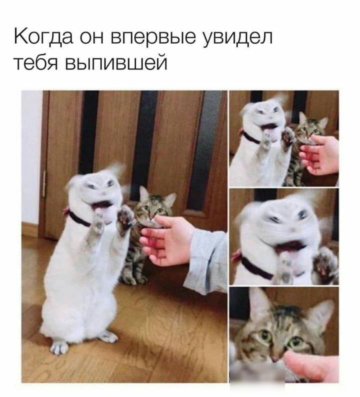 Когда он впервые увидел тебя выпившей