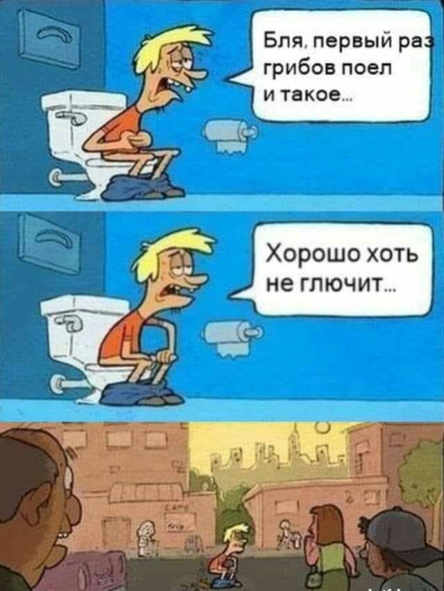 Бля первый ра грибов поел и таков Хорошо хоть не глючит
