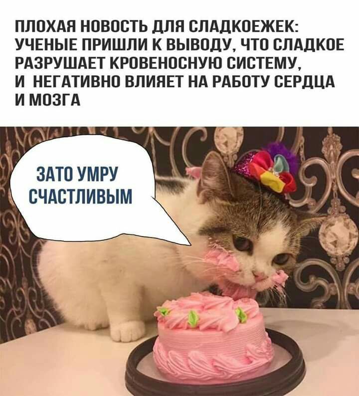 ПЛОХАЯ НОВОСТЬ ДЛЯ СЛАДКОЕЖЕК УЧЕНЫЕ ПРИШЛИ К ВЫВОДУ ЧТО СЛАЦКОЕ РАЗРУШАЕТ КРОВЕНОСНУЮ СИСТЕМУ И НЕГАТИВНО ВЛИЯЕТ НА РАБОТУ СЕРДЦА И МОЗГА