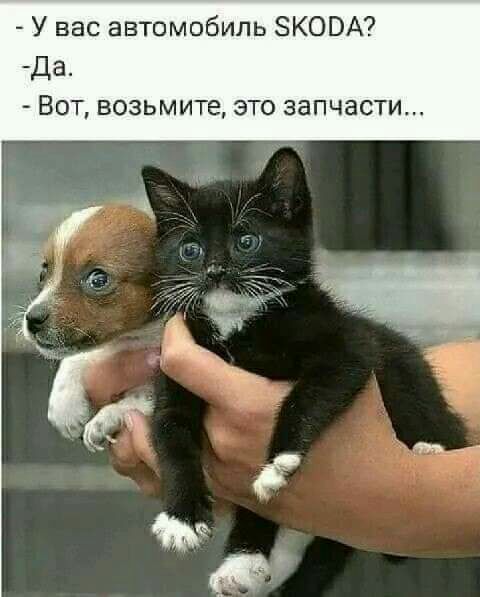 У вас автомобиль ЗКОВА Да ВОТ возьмите ЭТО запчасти
