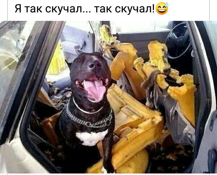 Я так скучал так скучатё