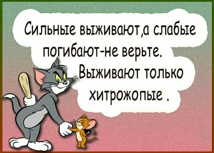 Сильные выживают слабые погибают не верьте Выживают только 1 ъ хитрожопые