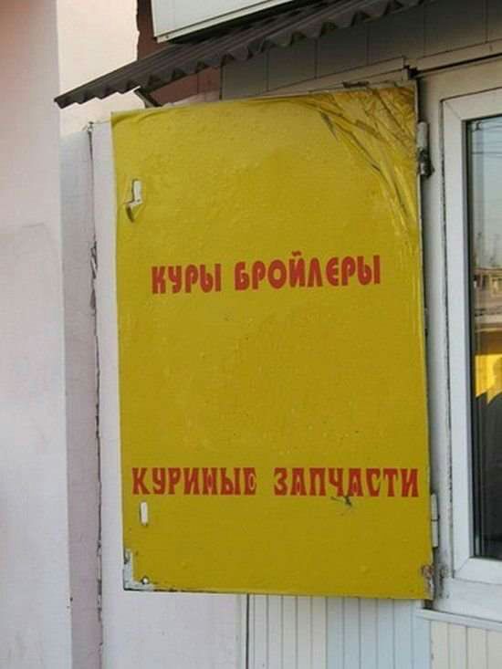 ты ьюішы кзгииыв зппшти