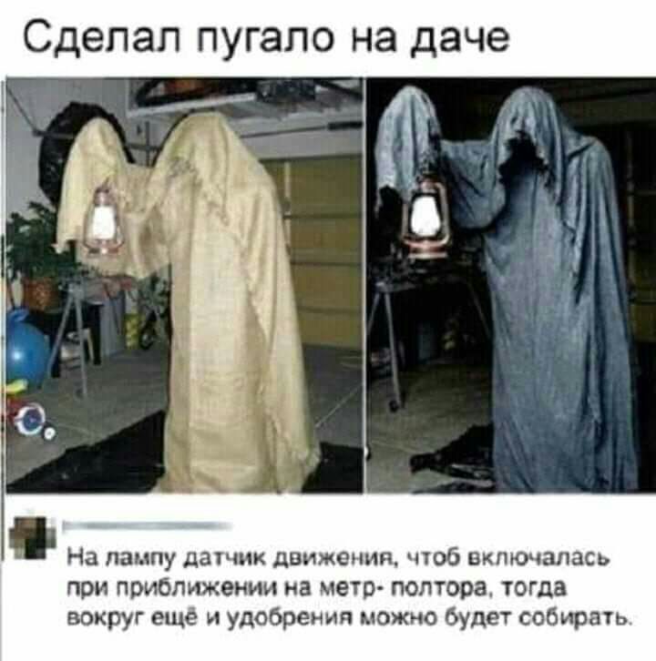Сделал пугало на даче На лампу датчик движения чтоб вктшалась при приближении на метр полтора тогда вокруг ещё и удобрения можно будет собирать