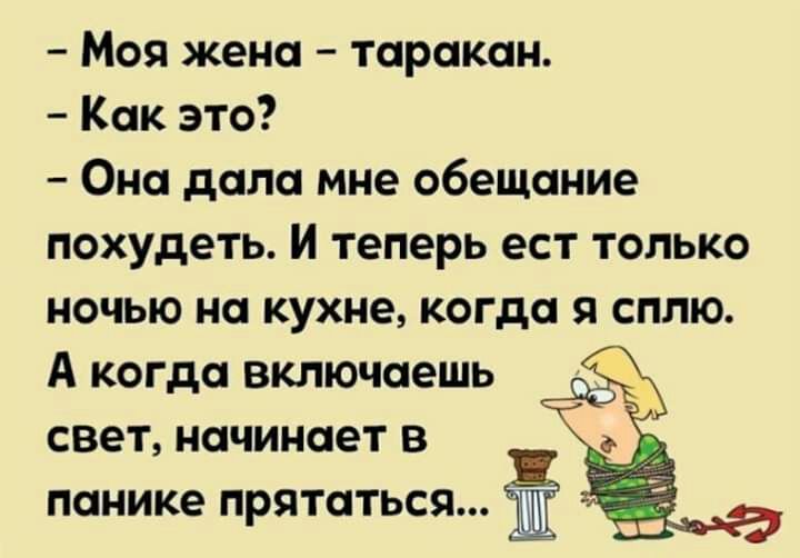 Моя жена таракан Как это Она дала мне обещание похудеть и теперь ест только ночью на кухне когда я сплю А когда включаешь свет начинает в панике прятаться Ё