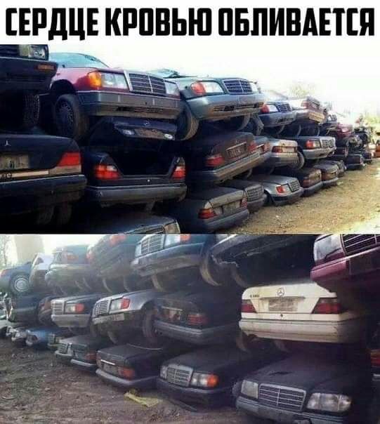 ЕРДЦЕ КРПВЬЮ ПБПИВАЕПП