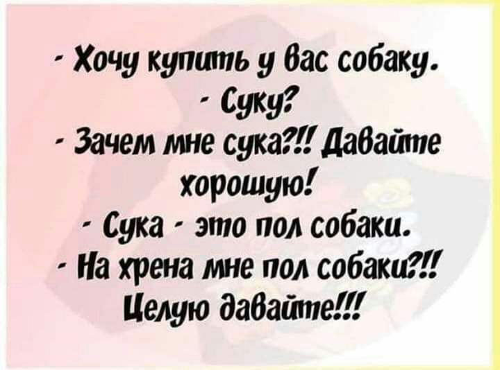 Хочу купить у Вас собаку суку Зачем мне сукабдабайте хорошую Сука это под собаки На хрена мне под собаки Целую Задайте