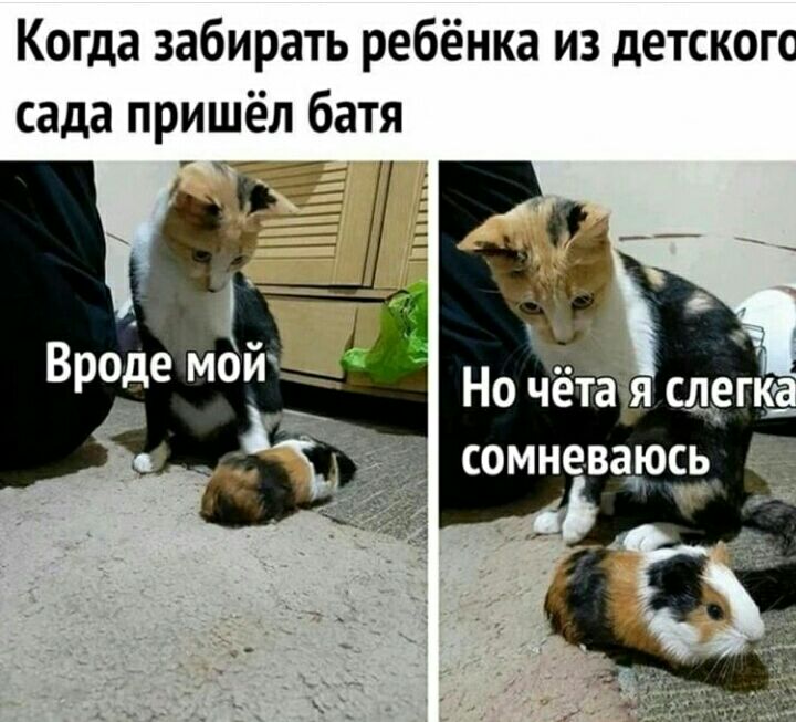 Когда забирать ребёнка из детского сада пришёл батя
