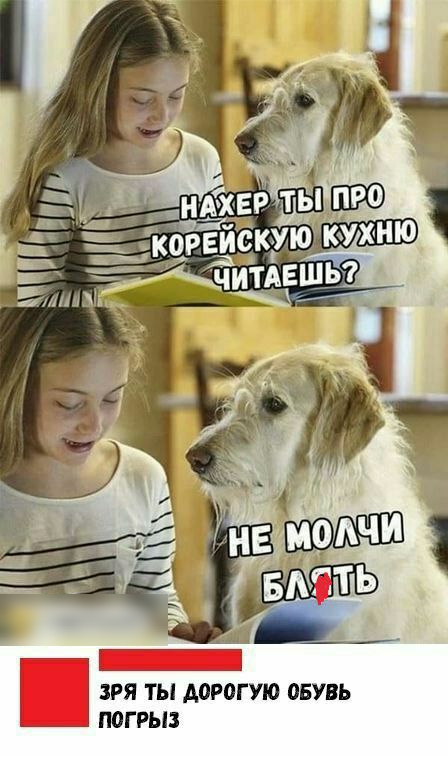 ЗРЯ ТЫ АОРОГУЮ ОБУВЬ ПОГРЫЗ