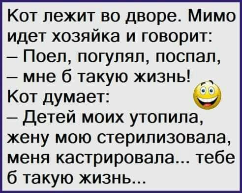 Кот лежит во дворе Мимо идет хозяйка и говорит Поеп погупяп поспал мне 6 такую жизнь Кот думает Детей моих утопипа жену мою стерилизовала меня кастрировапа тебе 6 такую жизнь
