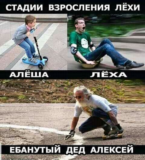 СТАДИИ ВЗРОСЛЕНИЯ ЛЁХИ