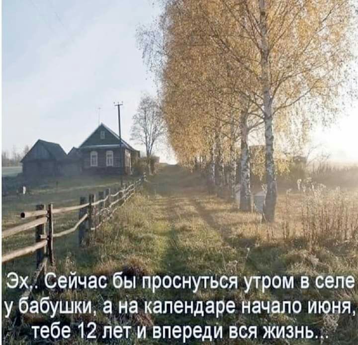 Эх Сейчас бы проснуться утром в селе у бабушки а на календаре начало июня тебе 12 лет и впереди вся жизнь