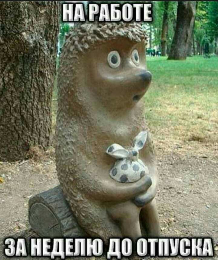 Зіі НЕДЕЛЮ до ііііііііііііі ______