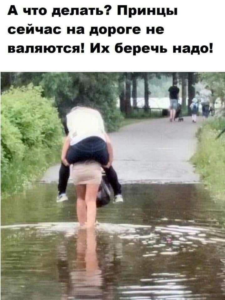 А что делать Принцы сейчас на дороге не валяются Их беречь надо