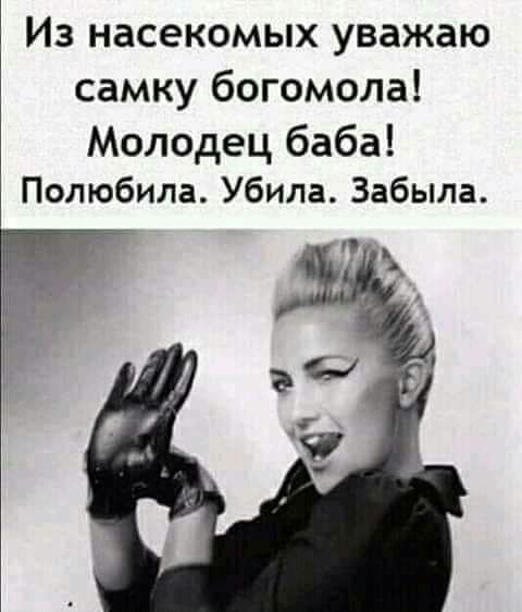 Из насекомых уважаю самку богомола Молодец баба Полюбила Убила Забыла