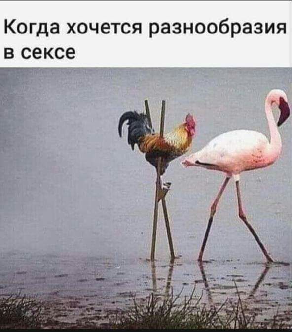 Когда хочется разнообразия в сексе