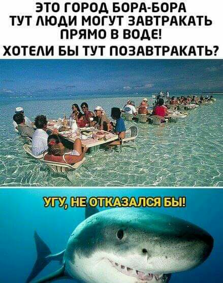 ЭТО ГОРОД БОРАБОРА ТУТ АЮДИ МОГУТ ЗАВТРАКАТЬ ПРЯМО В ВОДЕ ХОТЕЛИ БЫ ТУТ ПОЗАВТРАКАТЬ