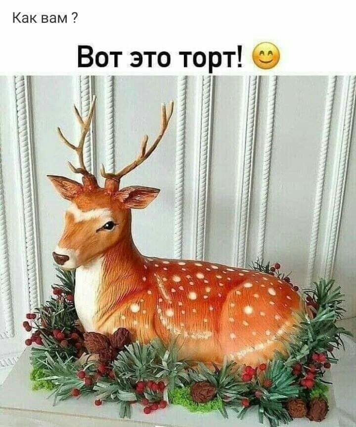 Как вам Вот это торт