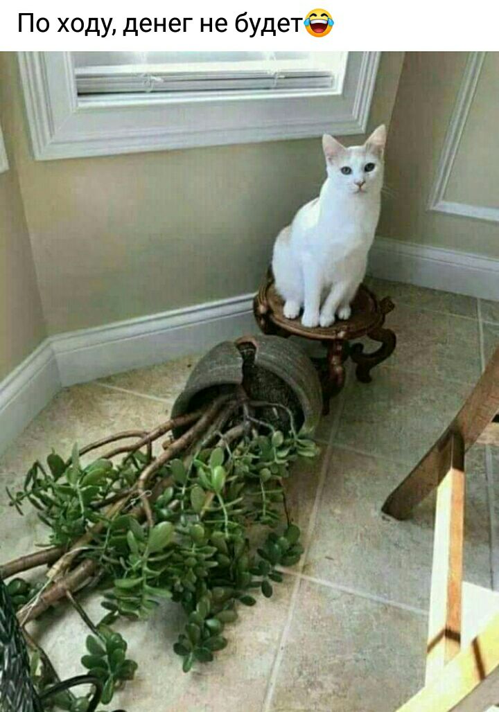По ходу денег не будет