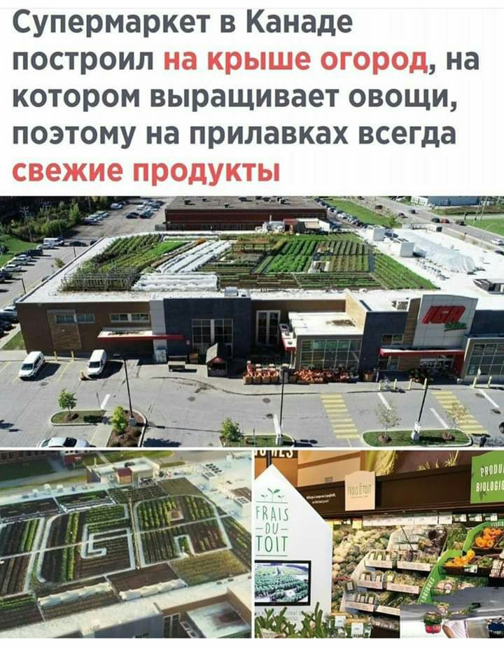 Супермаркет в Канаде построил на котором выращивает овощи поэтому на прилавках всегда