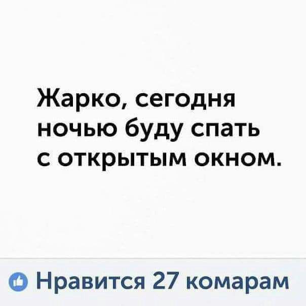 Жарко сегодня ночью буду спать с открытым окном О Нравится 27 комарам