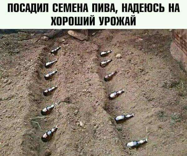ППШЩИП СЕМЕНА _ПИВА НАДЕЮСЬ НА ХПРПШИИ УРПЖАИ _ АВОСЬКА Вы тоже так считаете