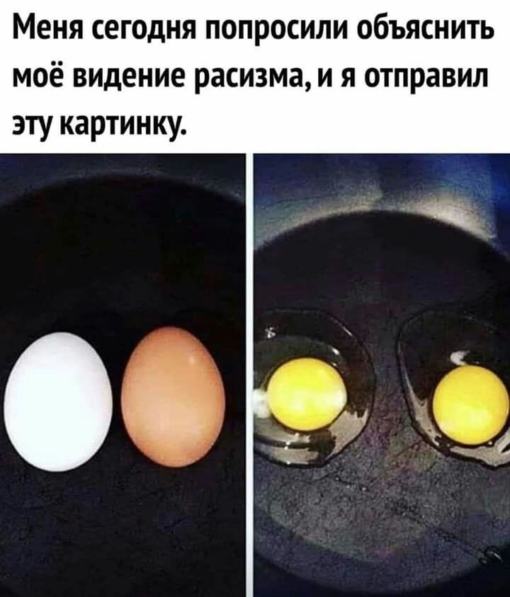 МЕНЯ СЕГОДНЯ ПОПРОСИЛИ ОбЪЯСНИТЬ МОЁ видение расизма И Я ОТПРЗВИЛ эту картинку