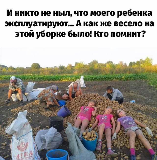 и никто не ныл что моего ребенка эксплуатируют А как же весело на этой уборке было Кто помнит