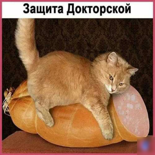 Защита Докторской