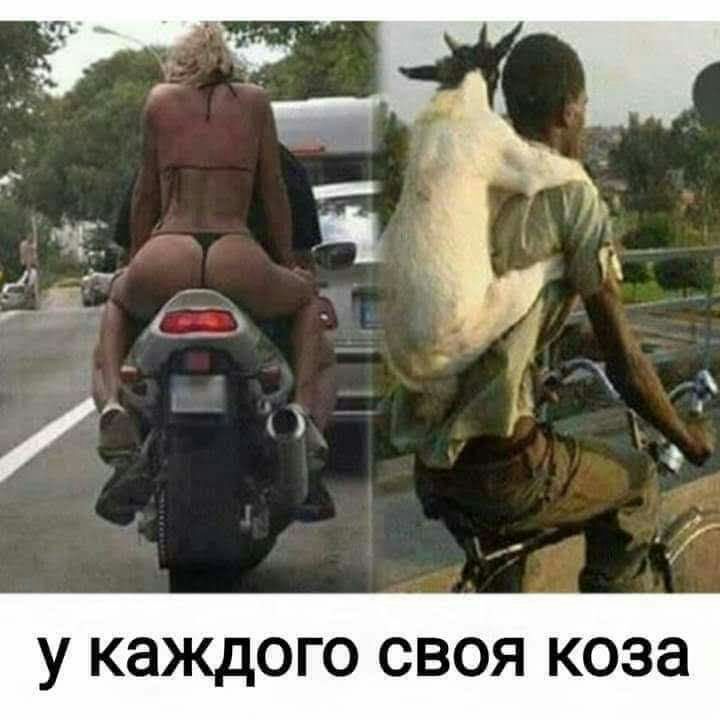 У КЭКДОГО СВОЯ КОЗЭ