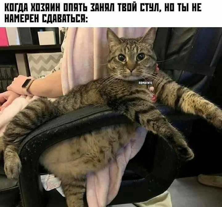 КПГДП ХПЗПИН ПППТЬ ЗАНЯЛ ТВПЙ ЕТЧЛ НП ТЫ НЕ НПМЕРЕН ЕДПВПТЬШ 31