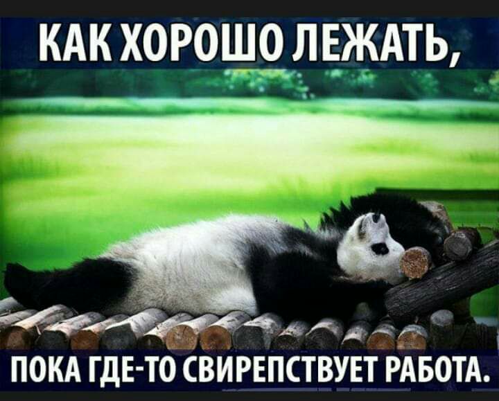 КАК ХОРОШО ЛЕЖАТЬ д 34944дж Ад ПОКА гдЕ то ВИРЕПСТВУЕТ РАБОТА