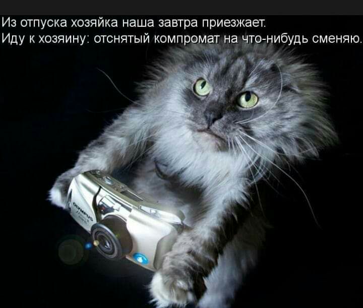 ИЗ ОТПУСКЭ ХОЗЯЙКЭ наша завтра приезжает ИДУ К ХОЗЯИНУ ОТСНЯТЫЙ КОМПЕЖЁ На ЪТРНИ6УДЬ сменяю л