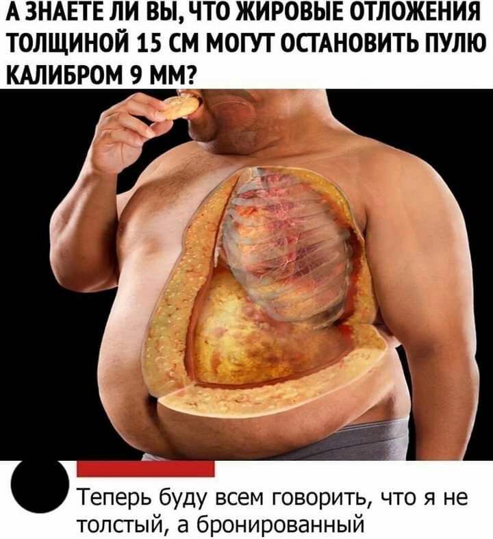 А ЗНАЕТЕ ЛИ ВЫ ЧТО ЖИРОВЫЕ ОТЛОЖЕНИЯ ТОЛЩИНОЙ 15 СМ МОГУТ ОСТАНОВИТЬ ПУЛЮ КАЛИБРОМ ММ Теперь буду всем говорить что я не толсгый а бронированный
