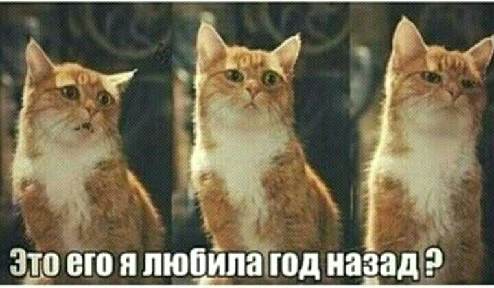 _ звтосто я пюпйпа год назадЁ